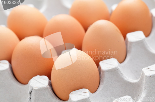 Image of eggs in box