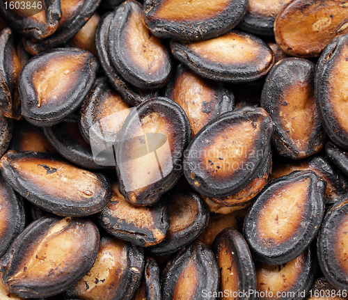 Image of black melon seed for chinese new year