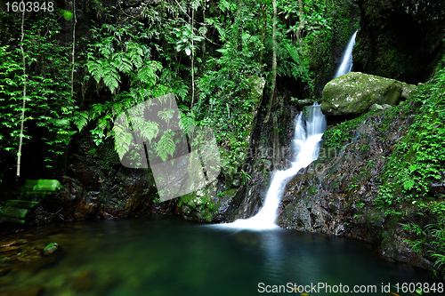 Image of cascade in forest