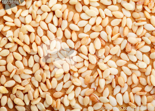 Image of sesame