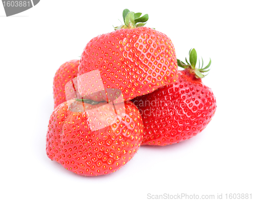 Image of strawberry