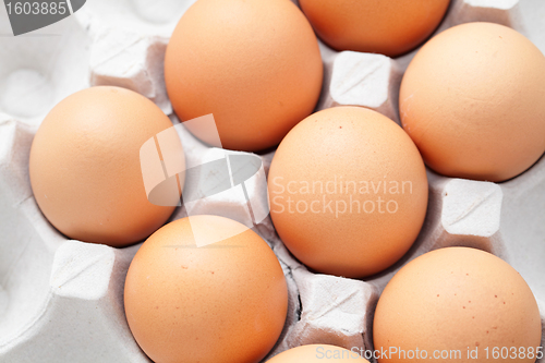 Image of eggs in package
