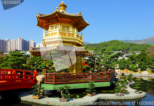 Image of pavilion in chinese garden