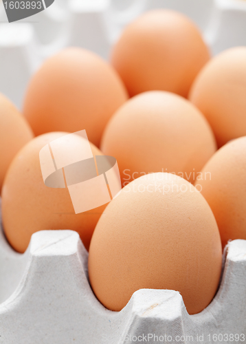 Image of egg in box