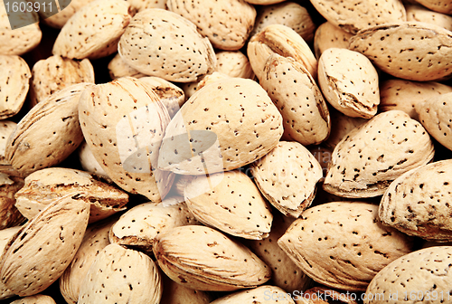 Image of almond