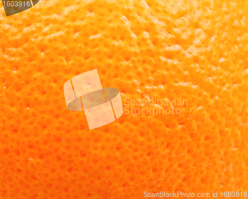 Image of orange texture