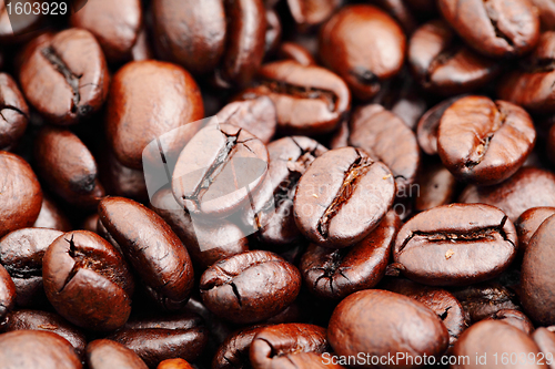 Image of coffee bean