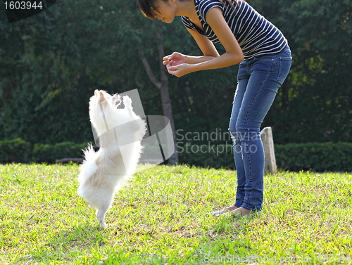 Image of woman training her dog
