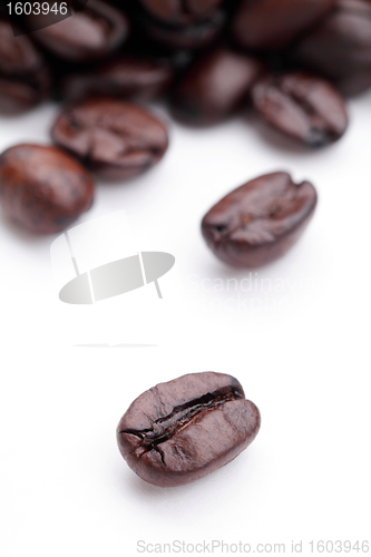 Image of coffee beans on white
