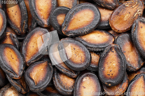 Image of black melon seed for chinese new year