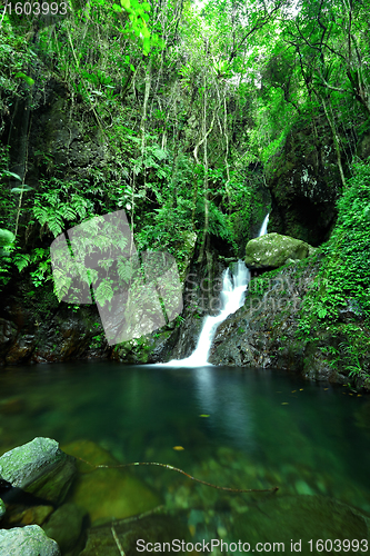 Image of cascade in forest