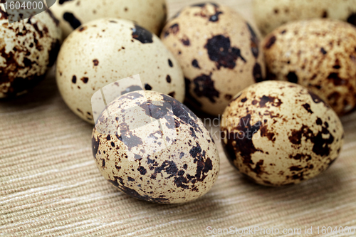 Image of quail eggs