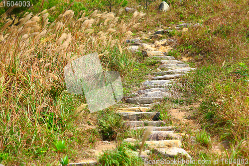 Image of mountain path