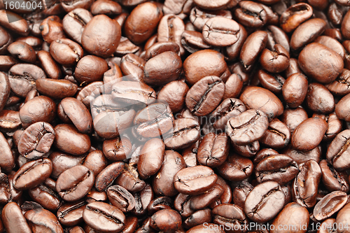 Image of coffee bean