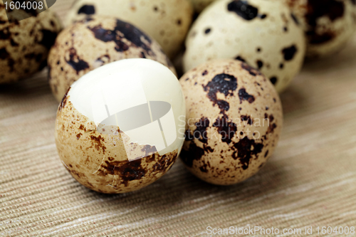 Image of Group of quail eggs