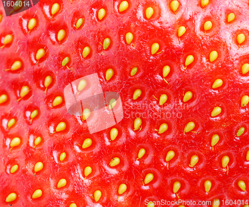 Image of macro of strawberry texture