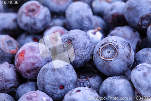 Image of blueberry