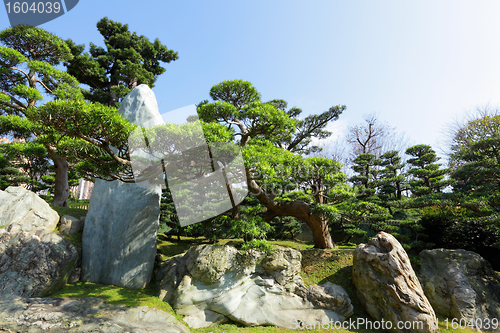 Image of chinese garden plant