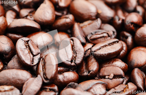 Image of coffee beans
