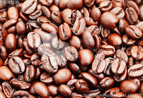 Image of coffee bean