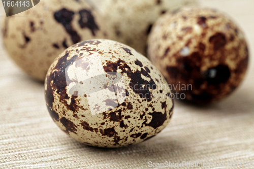 Image of quail eggs