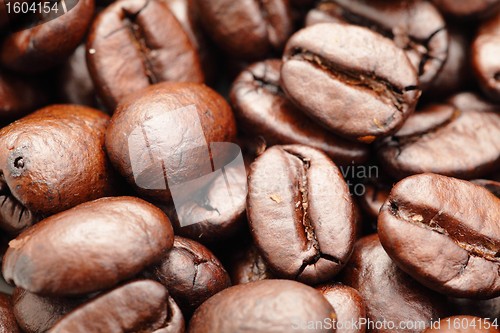 Image of coffee bean