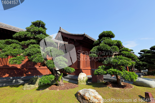 Image of chinese garden