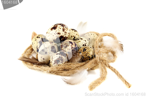 Image of Colourful eggs in the nest.