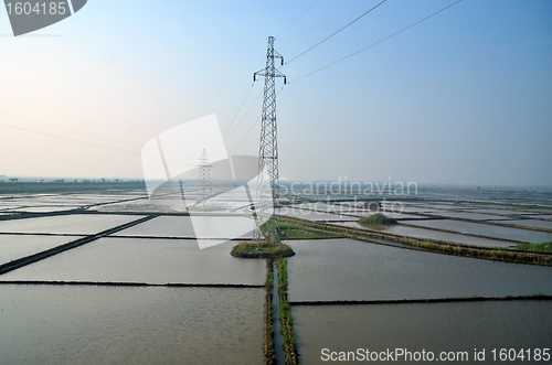 Image of Rice fields in north China