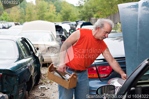 Image of Backyard Mechanic Junk Yard Shopping