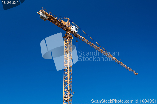 Image of Crane