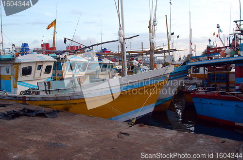 Image of Fishing Port in Sri Lanka