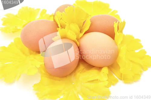 Image of Easter eggs on yellow decorative flowers
