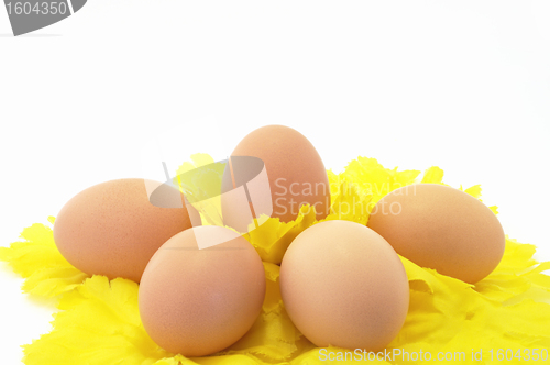 Image of Eggs Easter symbol holiday decor