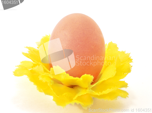 Image of Egg one in decorative yellow flower