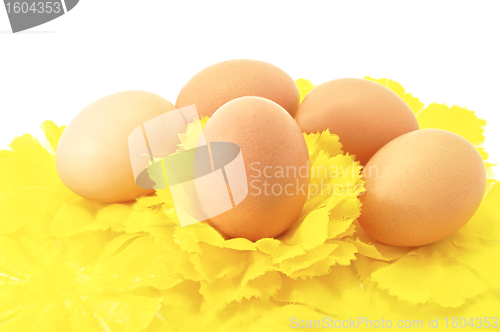Image of Eggs Easter symbol decorative holiday