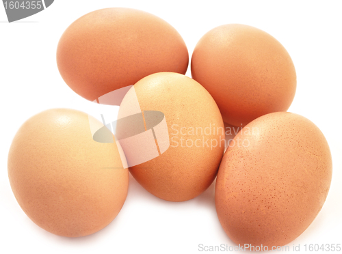 Image of Eggs bio product natural on white background