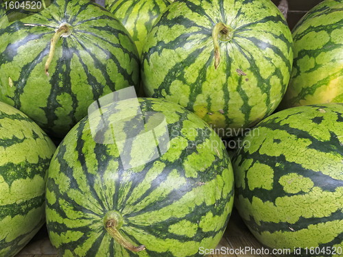 Image of Watermelon