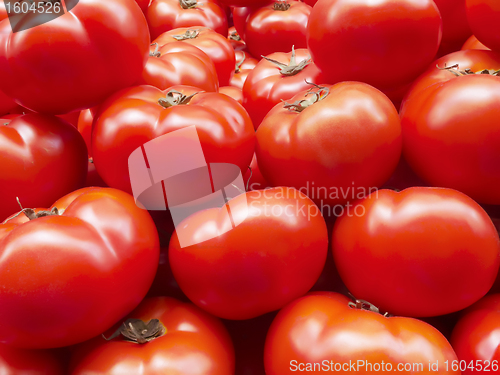 Image of Tomato