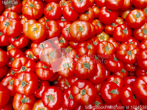 Image of Tomato