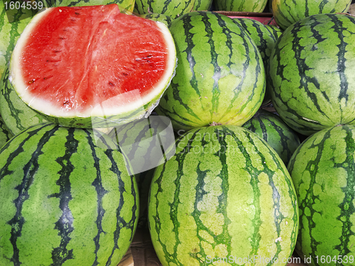 Image of Watermelon