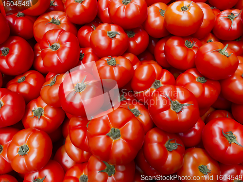 Image of Tomato