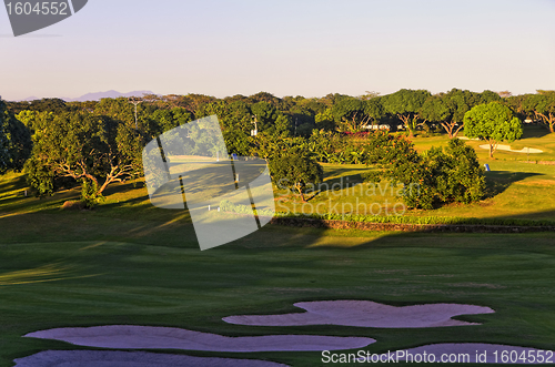 Image of Golf Greens