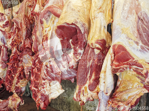 Image of Raw Meat