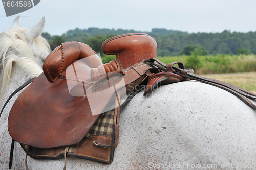 Image of horse saddle