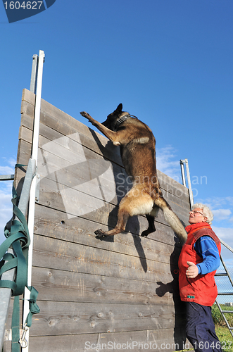 Image of training of police dog