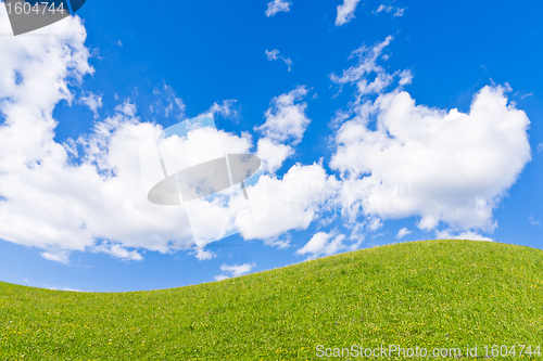 Image of green field