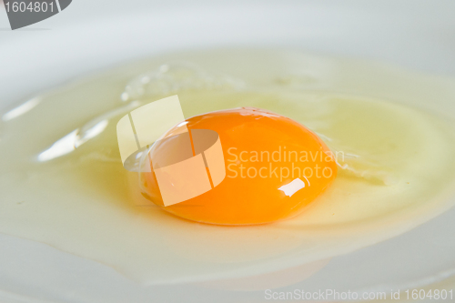 Image of egg yolk