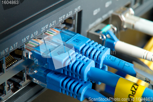 Image of network cables