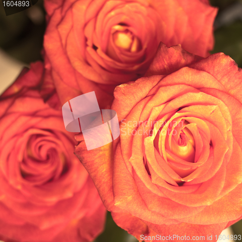 Image of rose bouquet